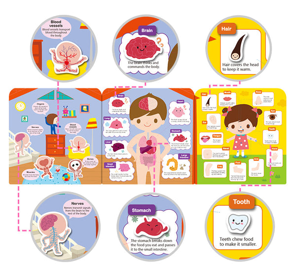 (8 BOOKS BUNDLE) Inherit Culture First Sticker Book Food Grade Silicone Reusable Stickers