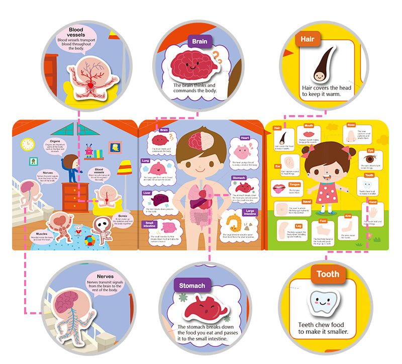 Inherit Culture First Sticker Book Food Grade Silicone Reusable Stickers 8 BOOKS BUNDLE - Steam Studio Toys