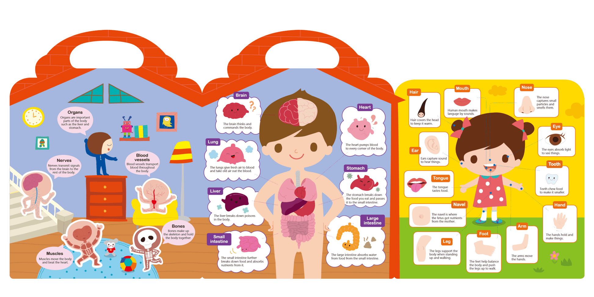 Inherit Culture First Sticker Book Food Grade Silicone Reusable Stickers 8 BOOKS BUNDLE - Steam Studio Toys